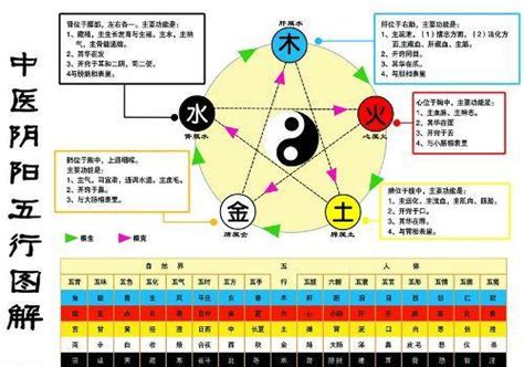 金生水原理|五行为什么会相生相克？原理是什么？